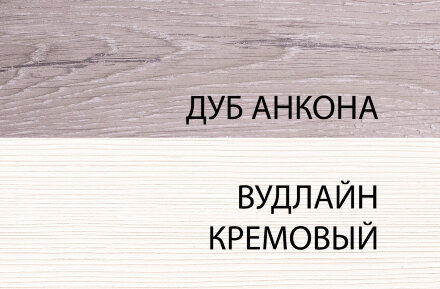 Шкаф 2DG OLIVIA 
